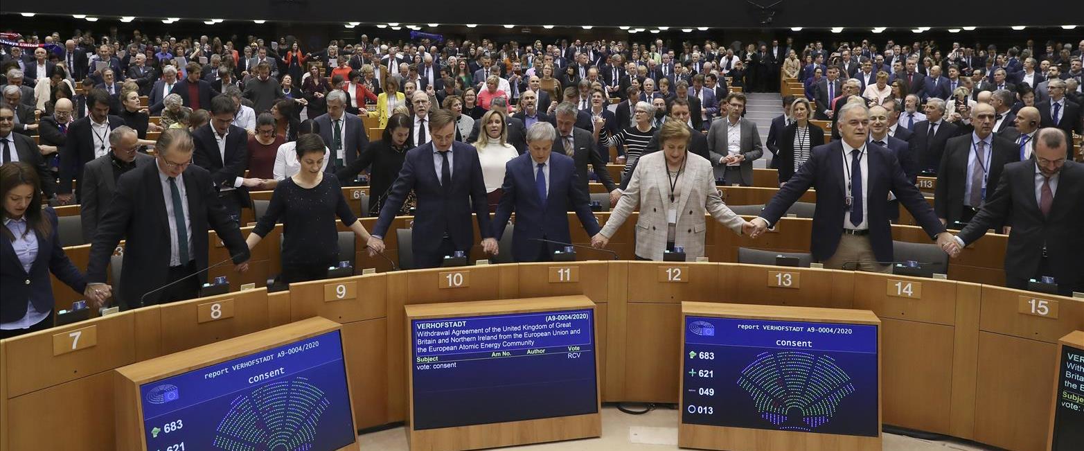 חברי הפרלמנט האירופי לאחר ההצבעה אתמול
