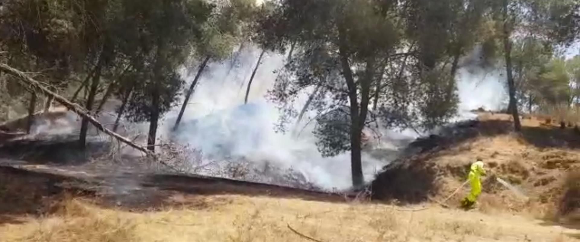 שריפה ביער בארי מבלון תבערה