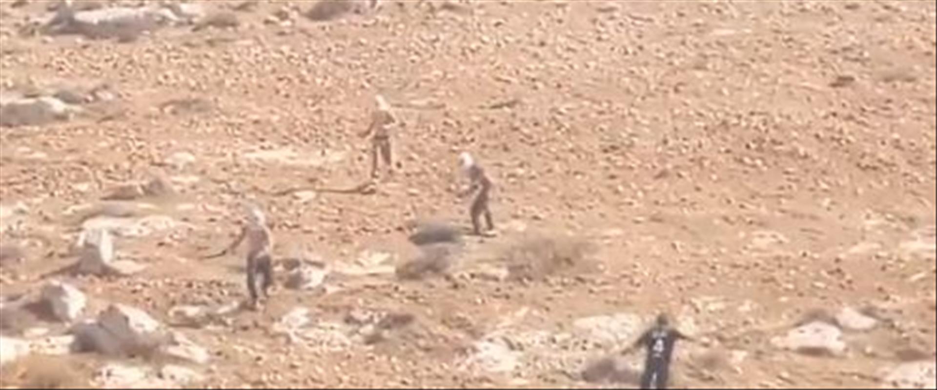 מתנחלים מיידים אבנים אל פלסטינים בדרום הר חברון 28